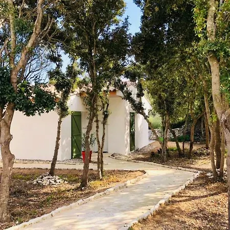 Location 3 U Pinu Piscine Bonifacio Vila Bonifacio (Corsica)